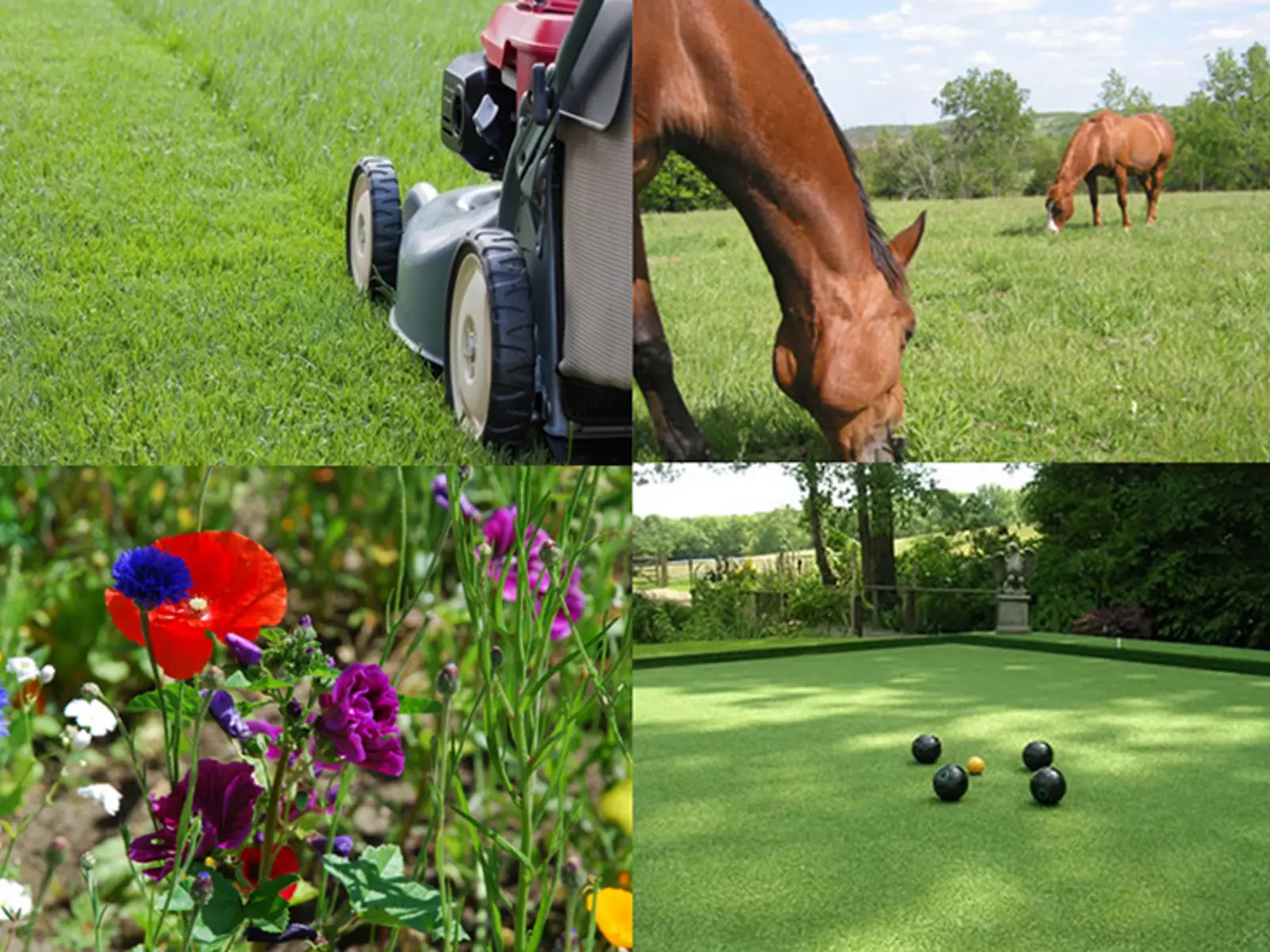 Walnes Seeds | Offering a comprehensive grass seed range